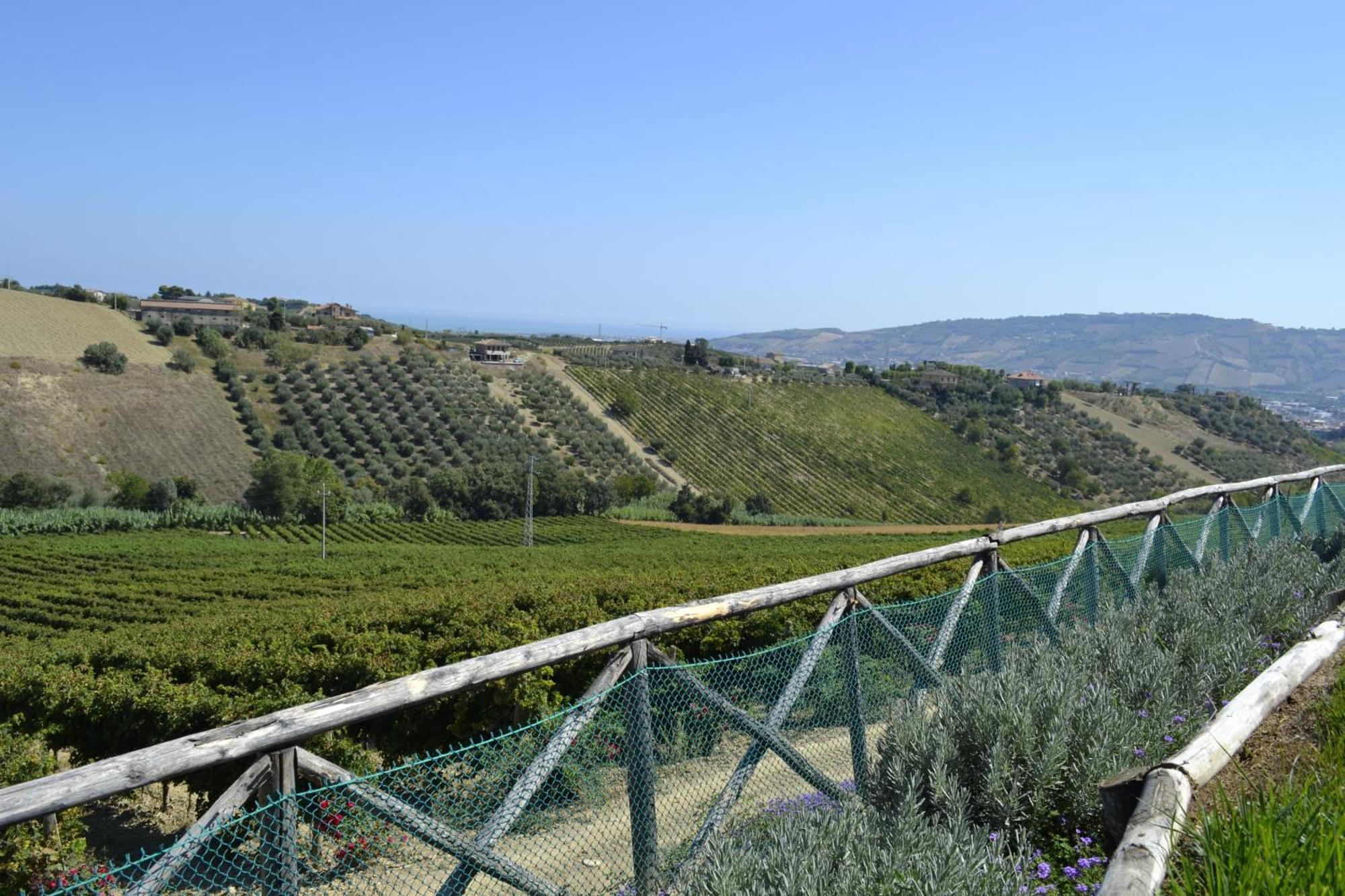 Agriturismo Il Sapore Della Luna Monteprandone Exterior foto